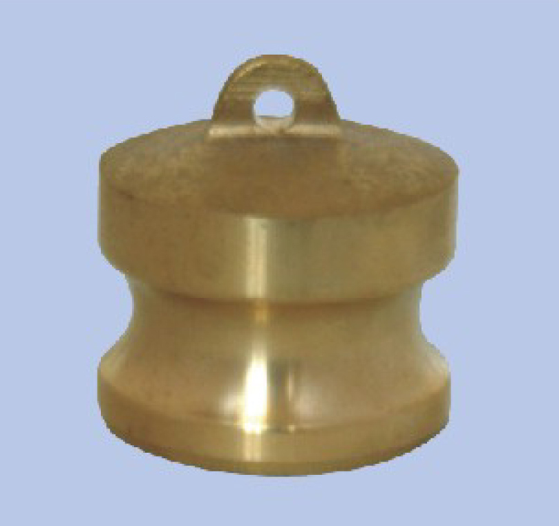 TYPE-DP